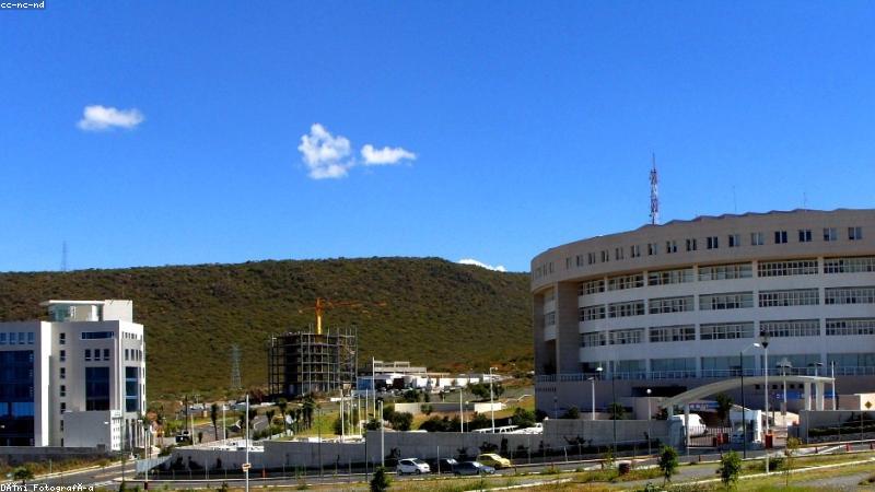 黑马磁力官网极速搜链首页界面展示